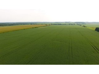 Property photo 16 - IMPORTANT OHIO LAND AUCTION - 325.5+/- ACRES OFFERED IN 8 TRACTS IN PICKAWAY COUNTY, OHIO